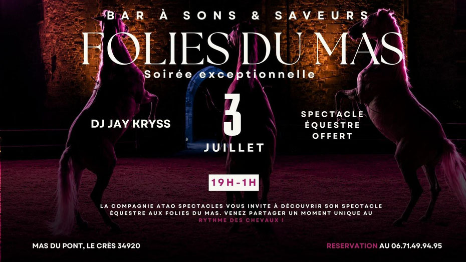 LES FOLIES DU MAS