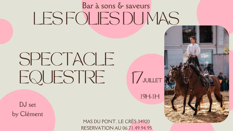 LES FOLIES DU MAS