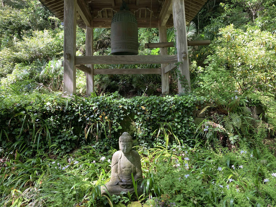 2022.4.25 妙法寺　Astro・Ajuga