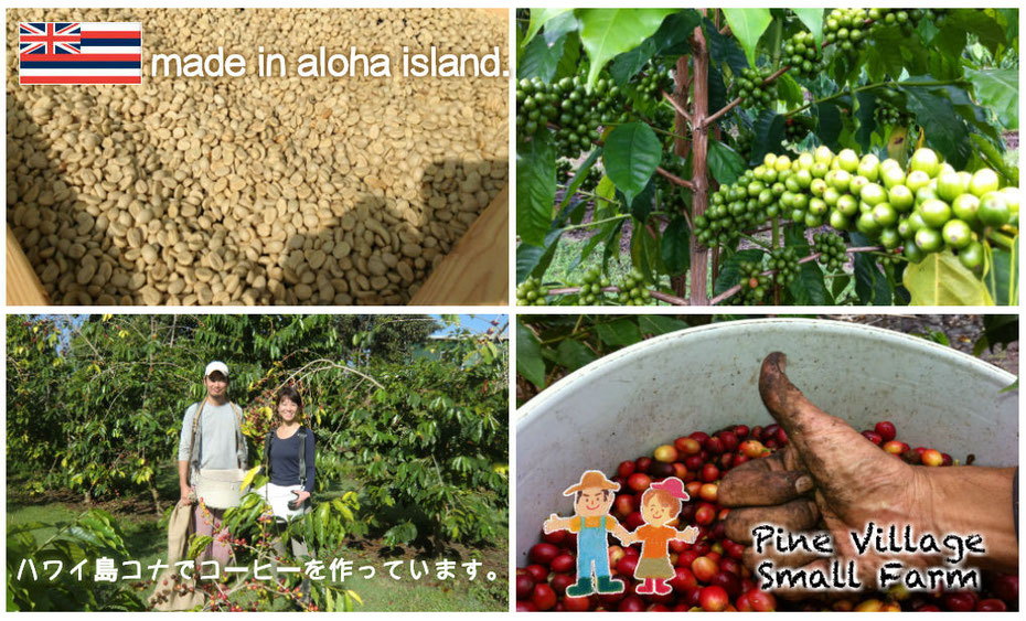 村松小農園 PINE VILLAGE SMALL FARM ようこそ、村松小農園へ TO PINE VILLAGE