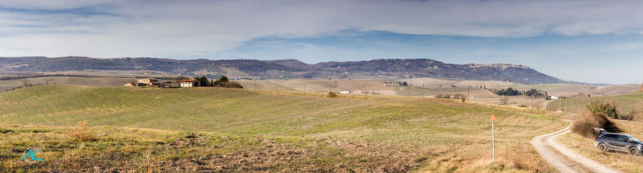 Podere Cancelli - ein Panorama, das den kompletten Hügel bzw. dessen östliche Hälfte zeigt, V.l.n.r: Steilhang, Hügel"gipfel", Hügelkamm, Podere, unsere private Zufahrtsstraße, öffentliche Kiesstraße.