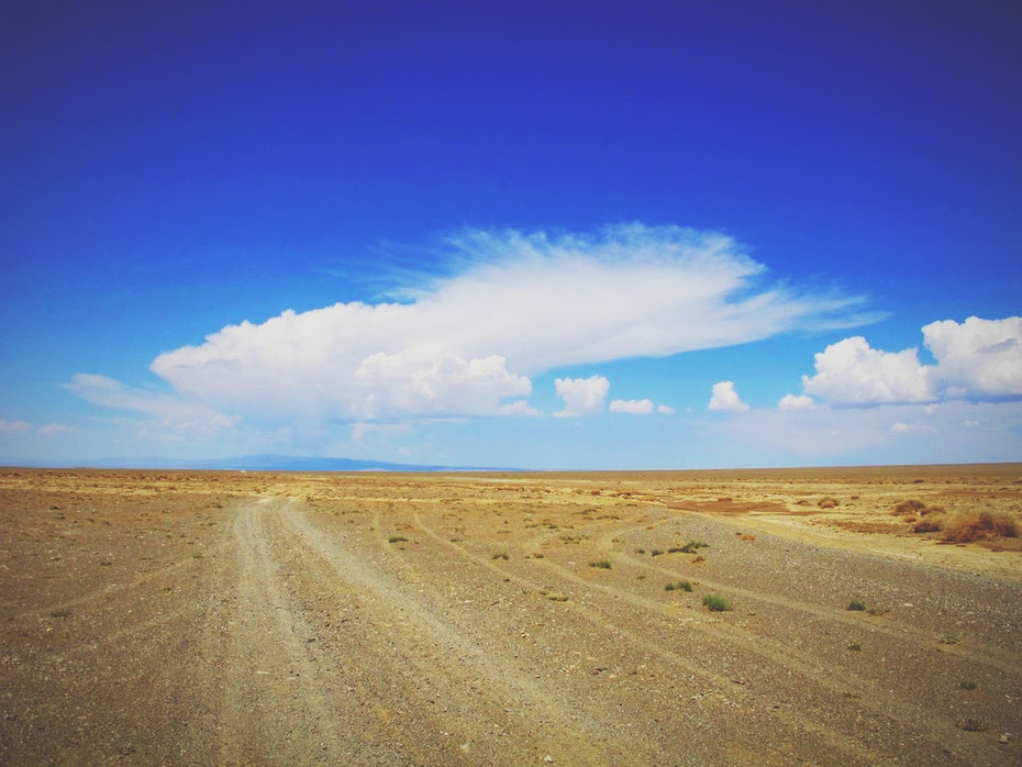 bigousteppes mongolie désert gobi route piste