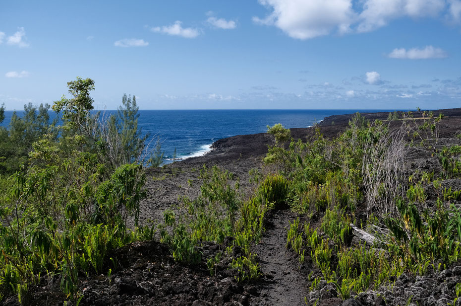 Coulée de 2007 dans le Grand Brûlé, La Réunion