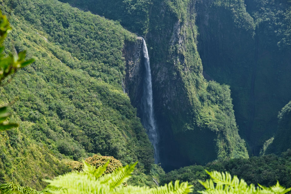 Cascade du Trou de Fer dans la Forêt de Bélouve, La Réunion