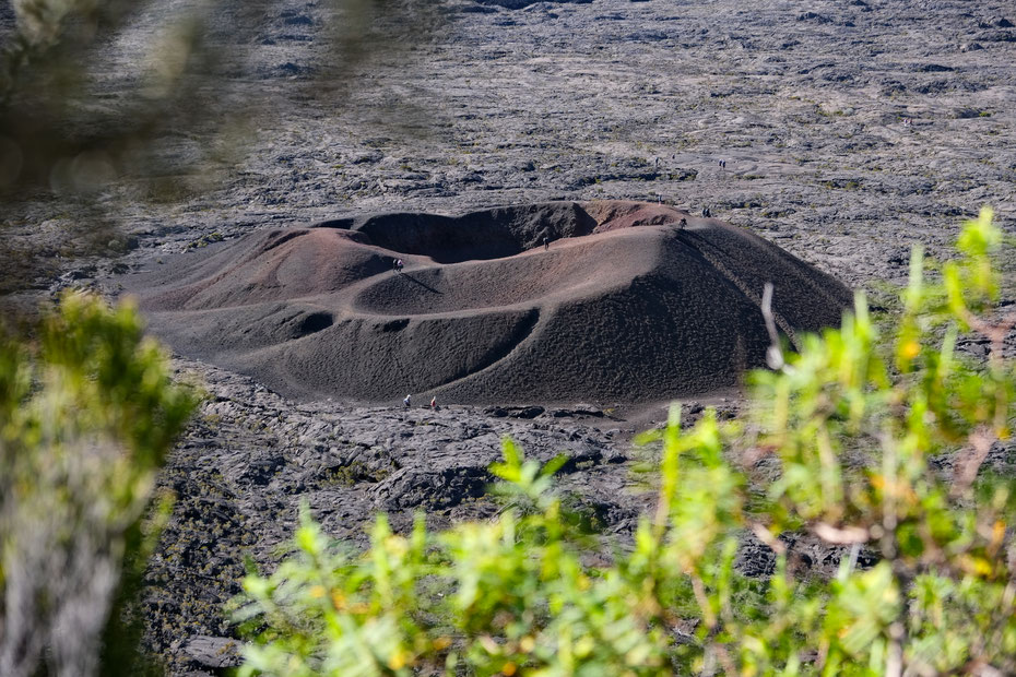 Vue de détail sur le Formica Leo au Piton de la Fournaise, La Réunion