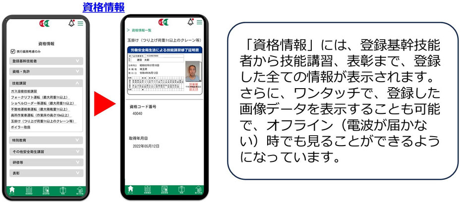 資格情報