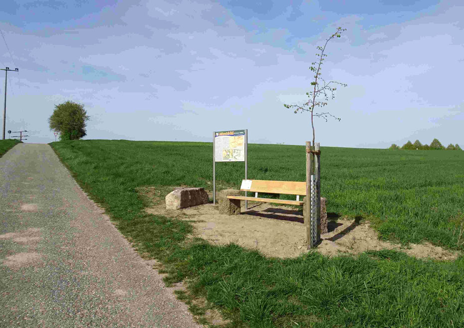 Das Leichensteinfeld zwischen Herrnneuses und Schellert. Foto: LAG Aischgrund