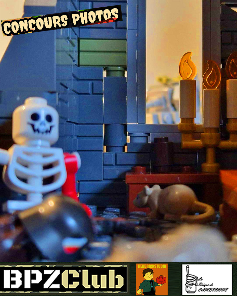 Reconstituez une bataille fantastique en  LEGO®, participez au concours photos BPZC 14 en collaboration avec redbrickstudio et La brique de Cambronne