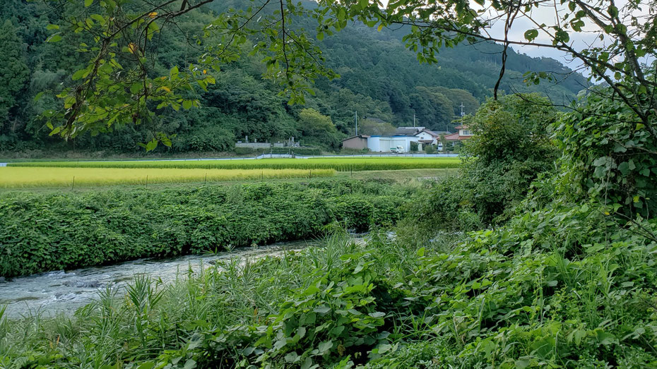 写真クリックで本文へ