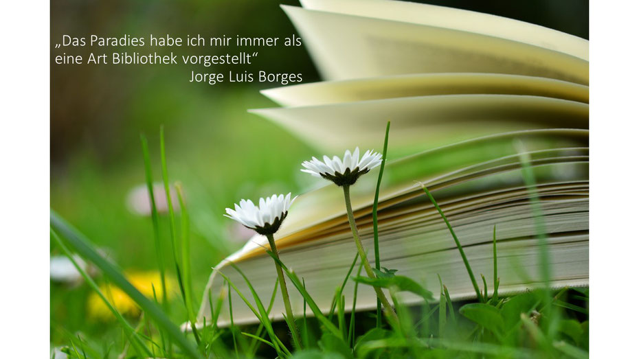 Bild: pixabay