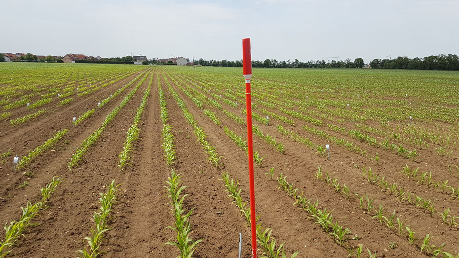 Pioneer Research, Monitoring