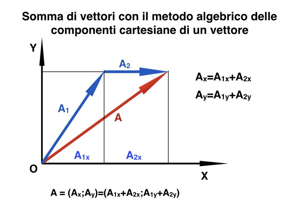 Vettori e forze Benvenuti su studiarefisica! Vettori e forze Benvenuti su studiarefisica!