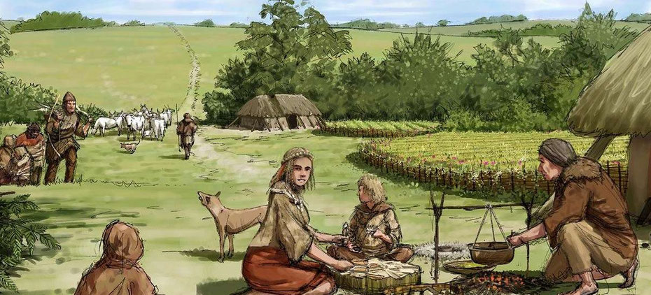 Image from https://www.english-heritage.org.uk/visit/places/stonehenge/history-and-stories/history/food-and-feasting-at-stonehenge/