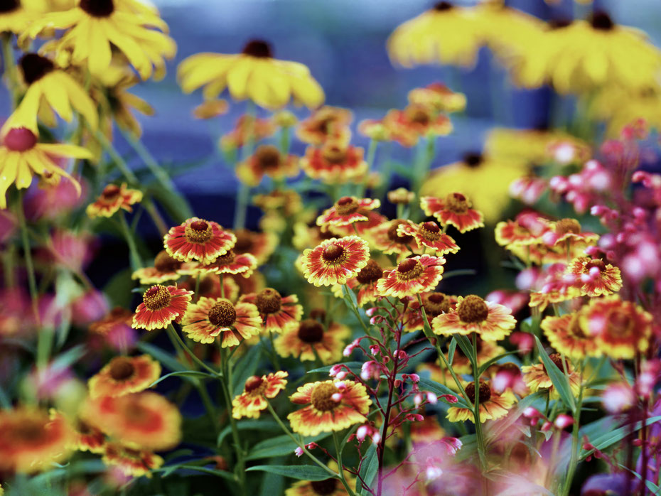 Taken using the original OM-5