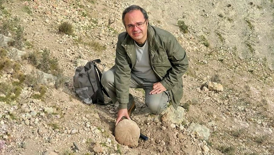 Holcophylloceras polyolcum del Tithónico de la Sierra de Crevillente