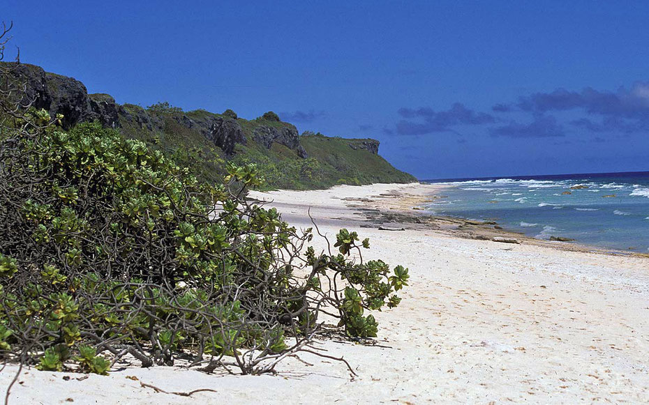 世界遺産「ヘンダーソン島」、ノーザン・ビーチ