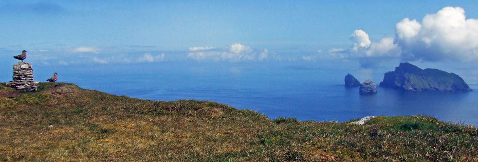 世界遺産「セント・キルダ」から眺めるふたつの島嶼とカモメ