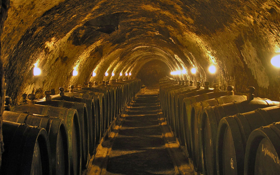 世界遺産「トカイ・ワイン産地の歴史的文化的景観」、オーク樽が並ぶワイン・セラー内部