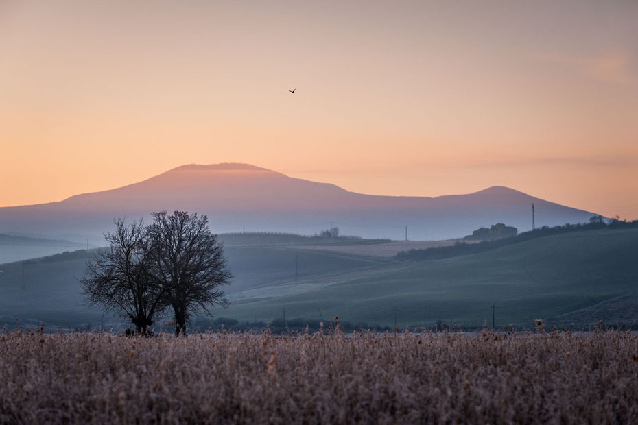 Januarmorgen in der Nähe von unserem "Podere Cancelli", im Hintergrund der Monte Amiata