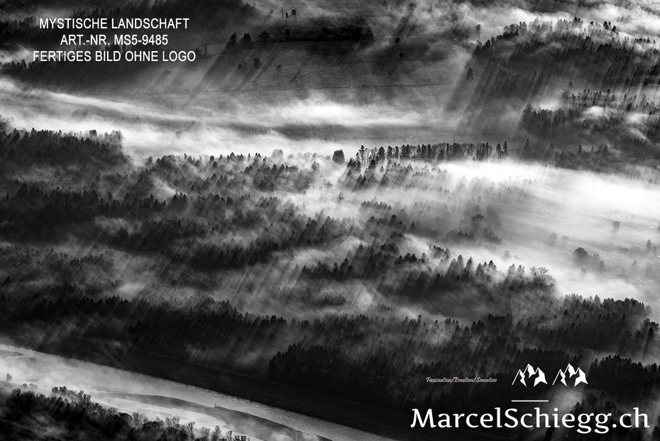 Wandbild, Mystische Landschaft, Nebel