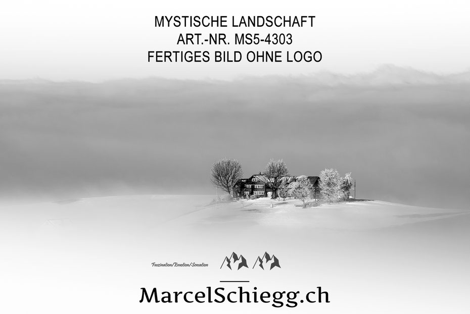 Wandbild, Mystische Landschaft, Nebel, Winterlandschaft, Schwarz-Weiss