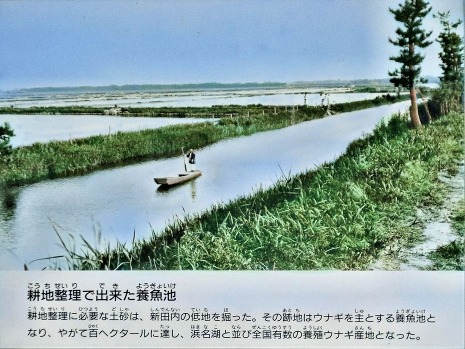 神野新田歴史,神野新田紀事,圓龍寺,神富神明社,五郷神社,二開神社,神野新田資料館,六条潟