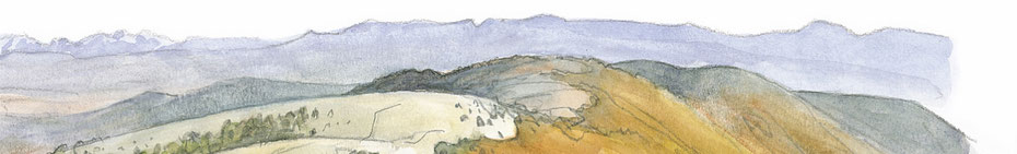 Site de maisonsoinsnaturels-sudluberon !