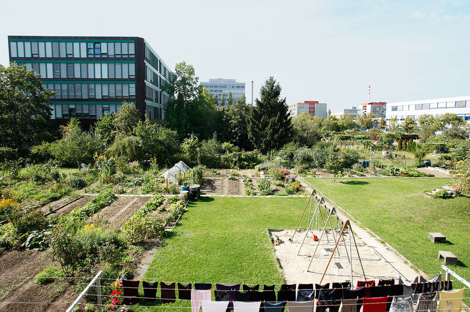 MUTTENZ I: AUSBLICK