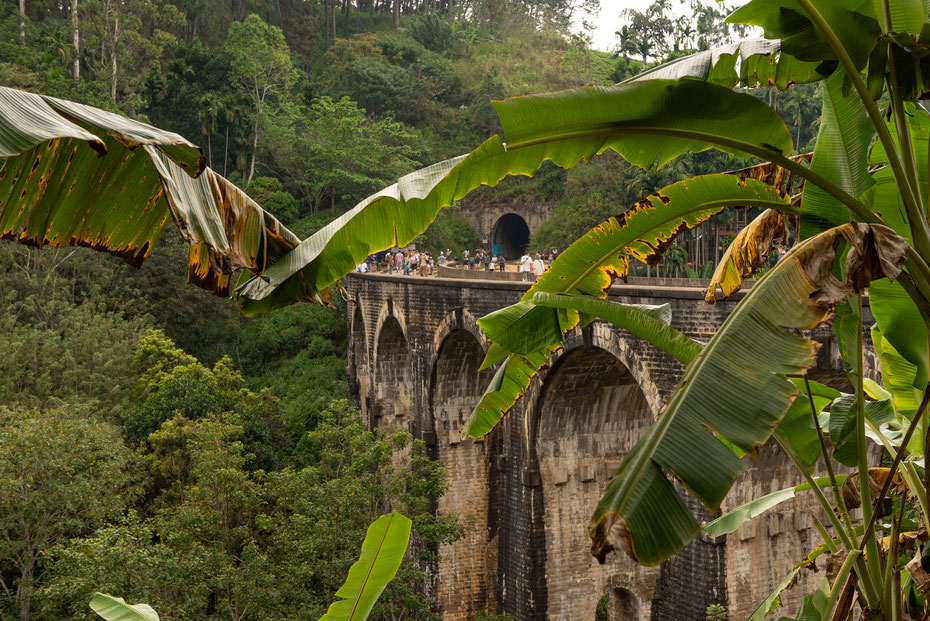 Was vor Instagram der Lions Rock war, ist seither die Nine Arches Bridge in Ella. Auch wenn kein Zug kommt versammeln sich hier Horden von Touristen, auch die Fahrt mit dem Zug lohnt sich: sie gilt als schönste Zugstrecke der Welt! 