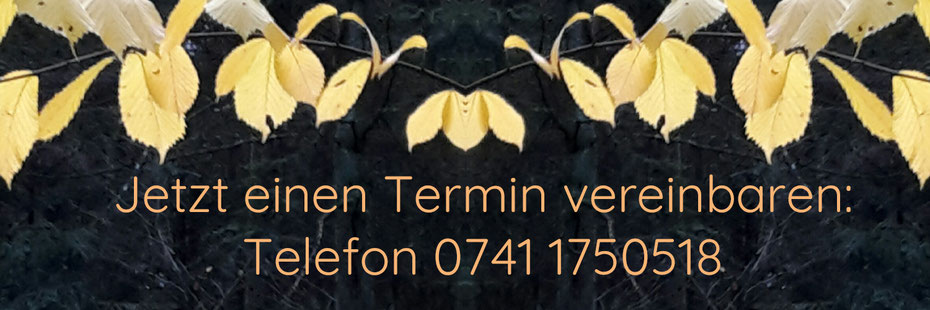 Call-to-Action-Button mit folgendem Text: Jetzt einen Termin vereinbaren: Telefon 0741 1750518