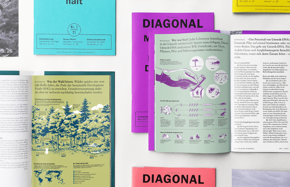 Verwendung der Infografik im DIAGONAL – das WSL-Magazin © Michael Stünzi