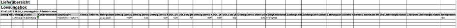 Lieferungsexport Excel XLSX