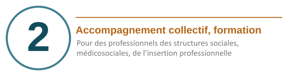 Formation et accompagnement collectif des professionnels du social, médico-social et de l'insertion