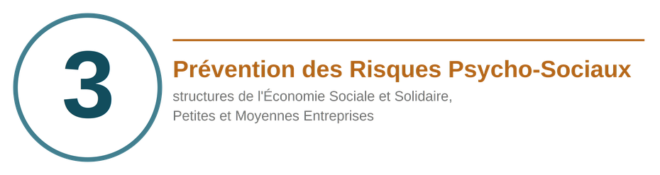Prévention des risques psychosociaux (RPS) pour les structures de l'Économie Sociale et Solidaire, PME
