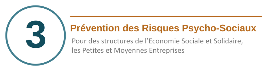 Prévention des risques psychosociaux (RPS) pour les structures de l'Économie Sociale et Solidaire, PME