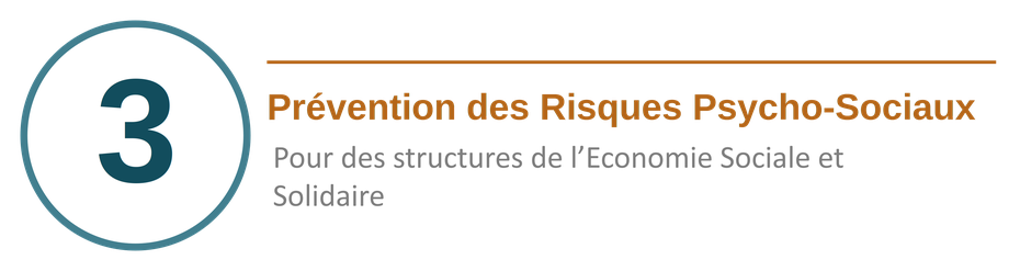 Prévention des risques psychosociaux (RPS) pour les structures de l'Économie Sociale et Solidaire, PME