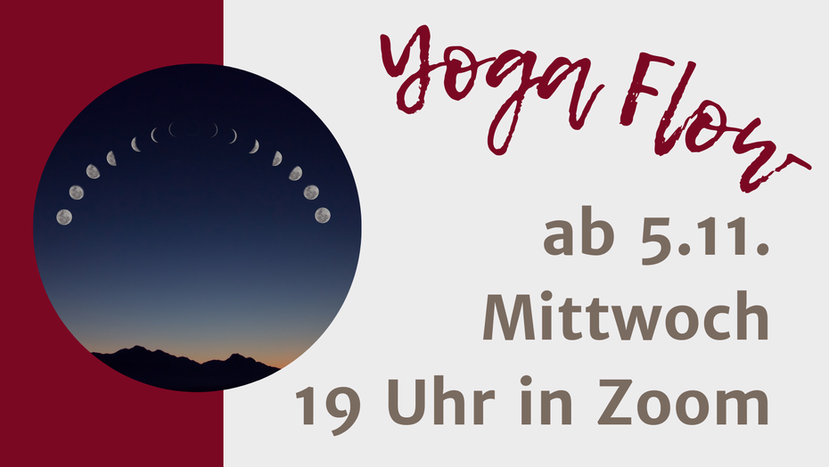 Yoga Anfänger Onlinekurs