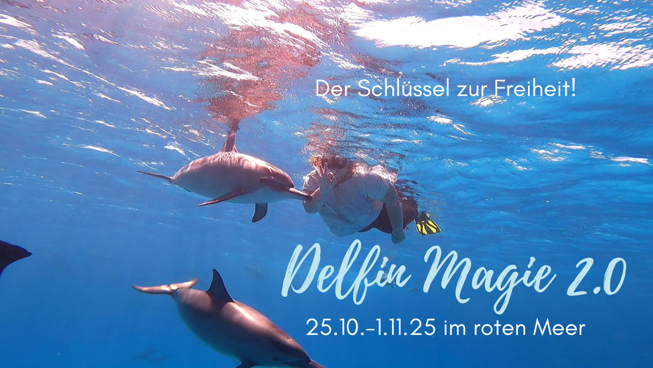 Schwimmen mit Delfinen Rotes Meer Ägypten