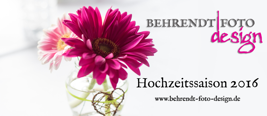 Banner für die Hochzeitssaison 2016