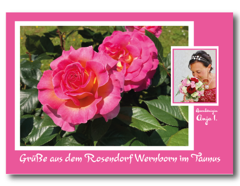 Die Postkarte Rosendorf Wernborn gibt es beim Rosenfest am 23. Juni 2019 am Stand der Kunstwerkstatt UKo-Art
