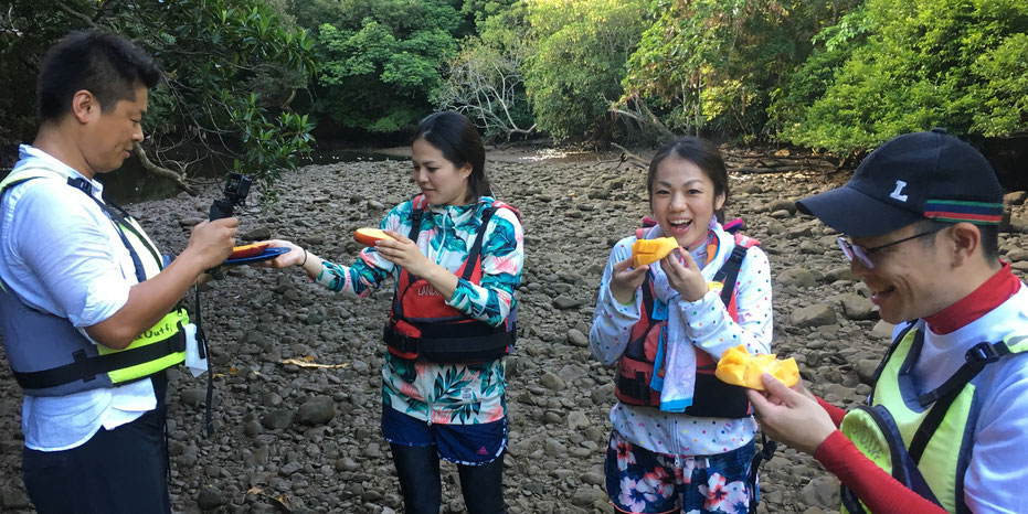 西表島・早朝カヌーカヤックツアー【サガリバナ&滝あそび+鍾乳洞】