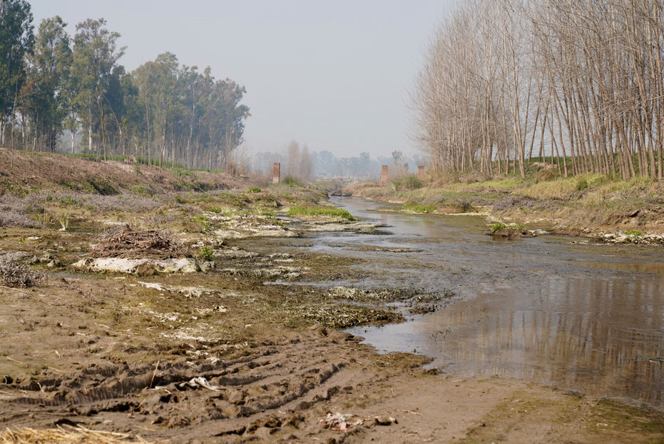 Zufluss des Flusses Ravi bei Nangal Sohal