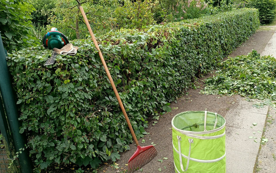 Vereinshecke aus Hainbuche schneiden - Werkzeug Heckenschere Harke Grünschnittbehälter