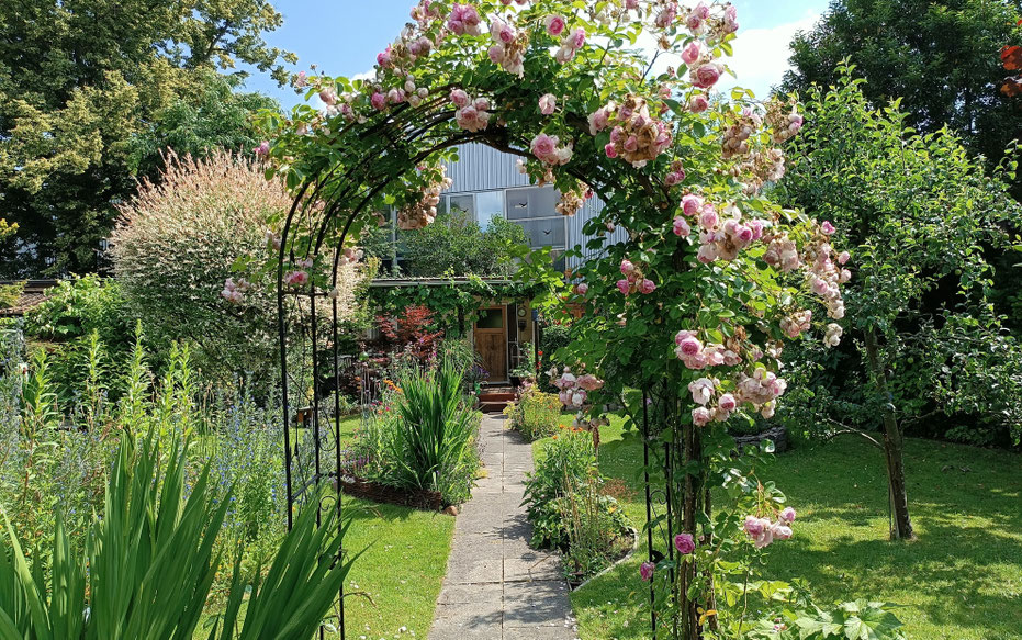 Kleingarten Gartenweg mit Rosenbogen und Beeten