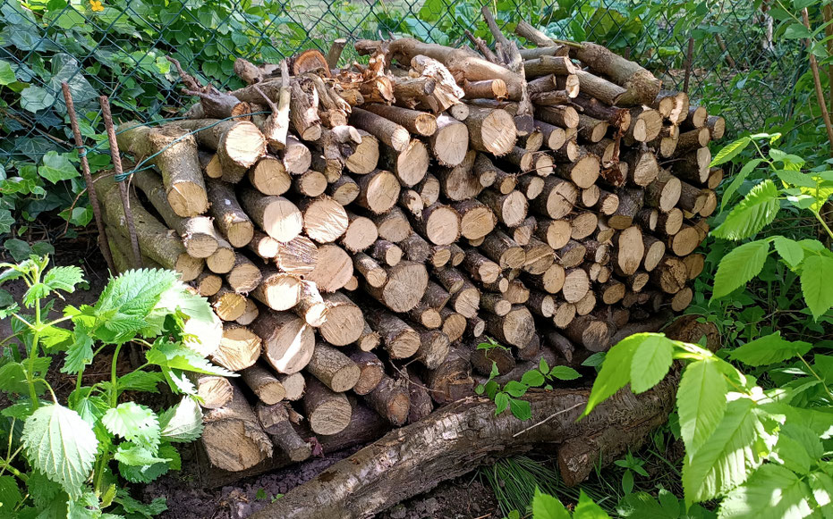 Totholzhaufen