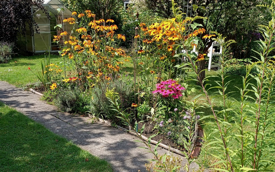 neu angelegtes Staudenbeet auf dem Rasen
