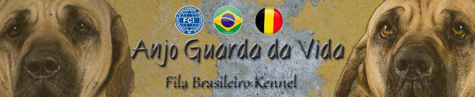 De website van anjoguardadavida!