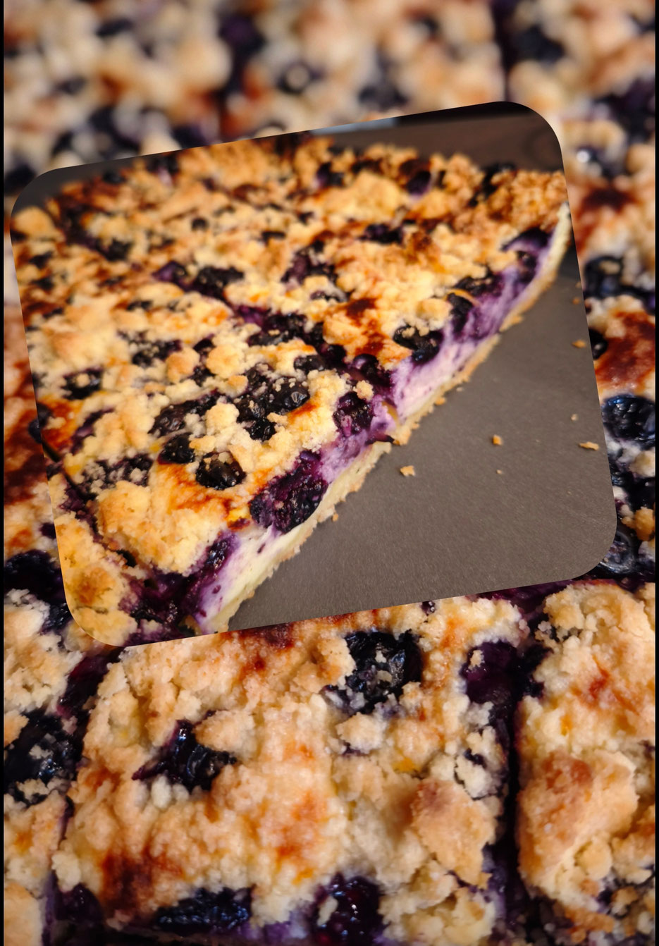 Kaffee und Kuchen bei den Seelenheil-Alpakas