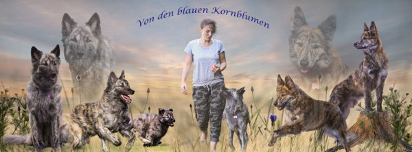 Uber Mich Sabrina Payerls Webseite