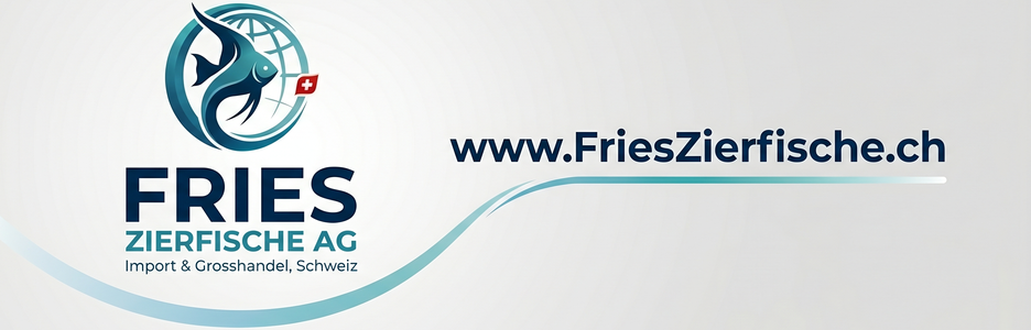 Simone Fries Zierfische engros